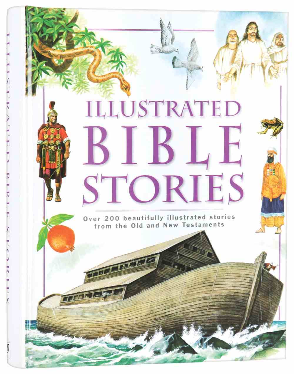 Illustrated Family Bible Stories By Craig Froman | Koorong