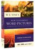W E Vine's New Testament Word Pictures 2-Pack: Matthew to Revelation (2 Vols) Pack - Thumbnail 0