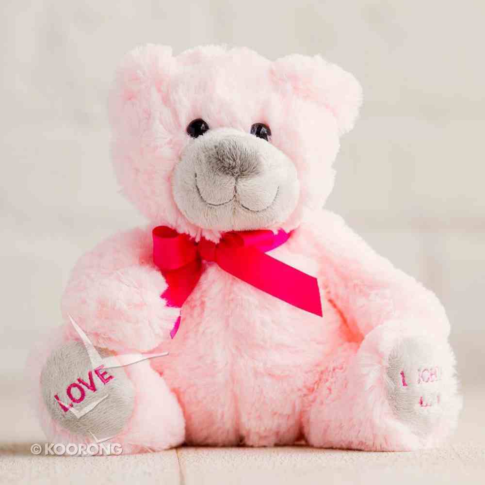 dark pink teddy bear