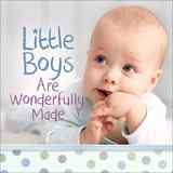 Little Boys Are Wonderfully Made Hardback - Thumbnail 0