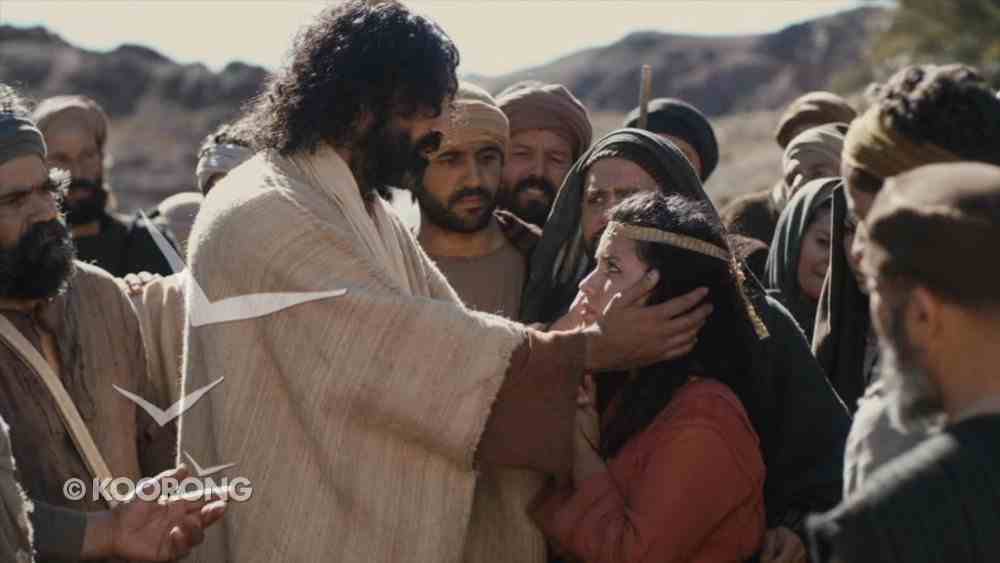 The Gospel of Luke (2 DVD) (The Lumo Project Series) DVD