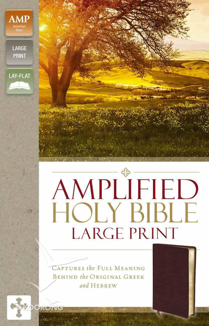 Amplified Holy Bible Large Print Burgundy (Black Letter Edition) | Koorong