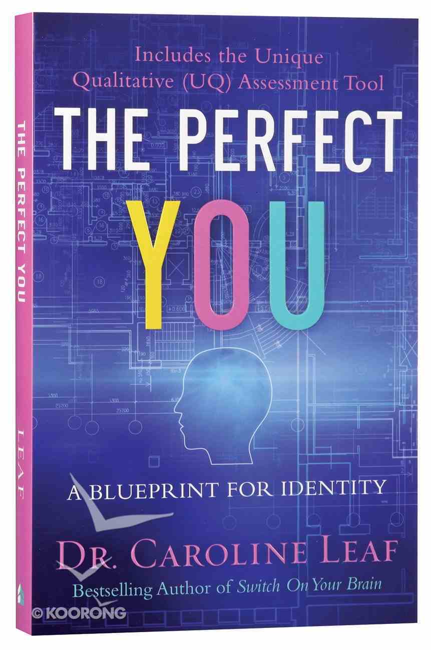 The Perfect You: Blueprint For Identity Paperback
