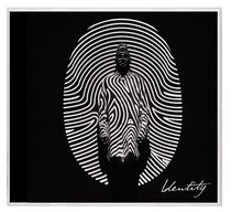 Album Image for Identity Deluxe Edition - DISC 1