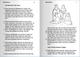 NIRV Accessible New Testament Paperback - Thumbnail 1