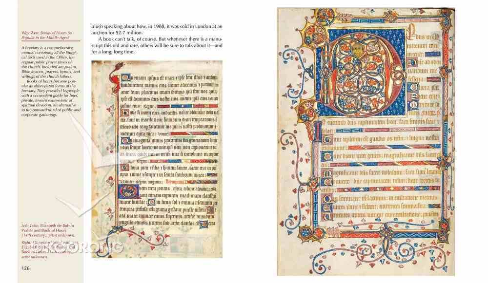 The Bible Illuminated: How Art Brought the Bible to An Illiterate World Hardback