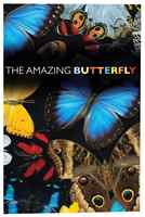The Amazing Butterfly  (Pack Of 25) Booklet - Thumbnail 0