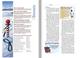 NIV Adventure Bible Polar Exploration Edition Full Color (Black Letter Edition) Hardback - Thumbnail 1