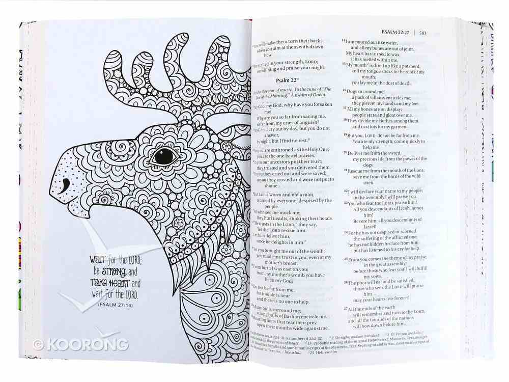 NIV Wonders of Creation Holy Bible: Illustrations to Color and Inspire (Black Letter Edition) Hardback