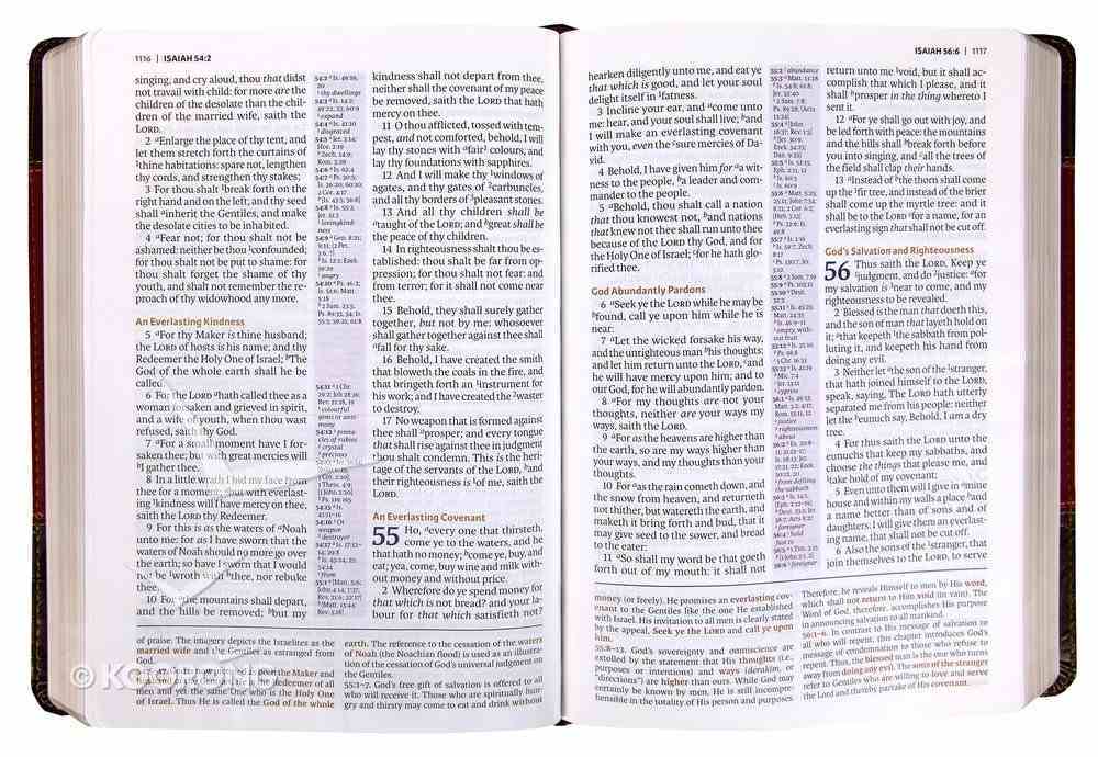 KJV Study Bible Burgundy Full-Color Edition (Red Letter Edition) Premium Imitation Leather