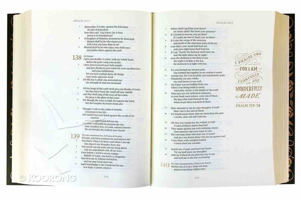 ESV Illuminated Bible Art Journaling Edition Green With Paper Dust Jacket (Black Letter Edition) Hardback
