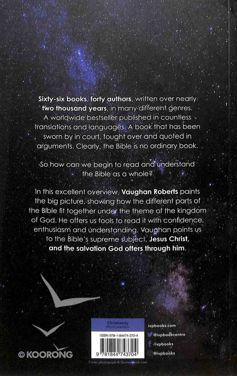 God's Big Picture (New Larger Format) Paperback