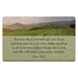 Faithbuilders: Godly Wisdom, Pack of 20 Cards (5 Each Of 4 Designs) Cards - Thumbnail 4