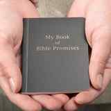 My Book of Bible Promises (Black) Imitation Leather - Thumbnail 4