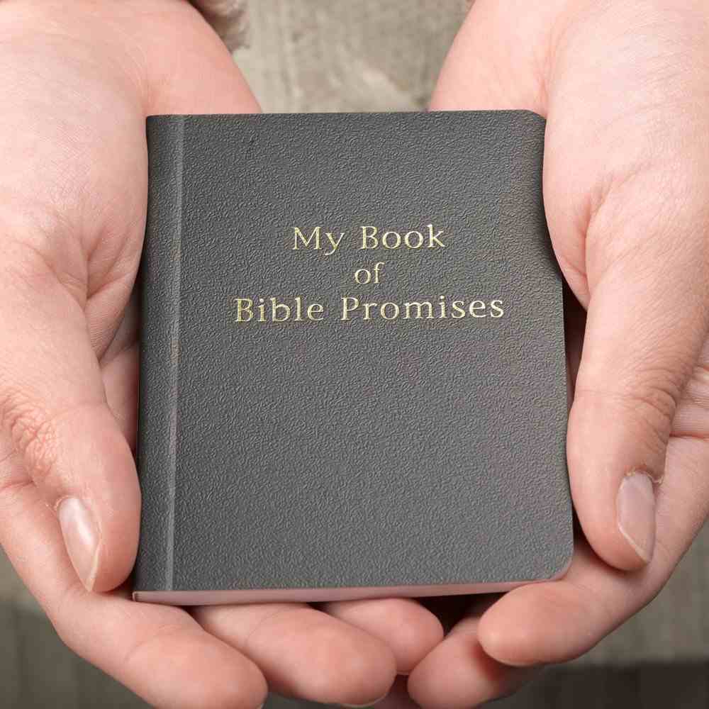 My Book of Bible Promises (Black) Imitation Leather