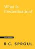 What is Predestination? (#31 in Crucial Questions Series) Paperback - Thumbnail 0