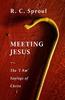 Meeting Jesus: The 'I Am' Sayings of Christ Paperback - Thumbnail 0