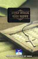 Hindi/English Diglot Bible Vinyl - Thumbnail 2