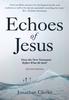 Echoes of Jesus: Does the New Testamant Reflect What He Said? (2nd Edition) Paperback - Thumbnail 0