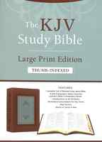 KJV Study Bible Large Print Indexed Teal Inlay (Red Letter Edition) Imitation Leather - Thumbnail 0