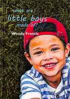 What Are Little Boys Made Of? Hardback - Thumbnail 0