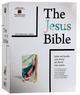 NIV the Jesus Bible Multi-Color Teal Premium Imitation Leather - Thumbnail 2