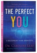 The Perfect You: A Blueprint For Identity Paperback