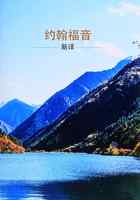 Chinese Gospel According to John (Black Letter Edition) Paperback - Thumbnail 0