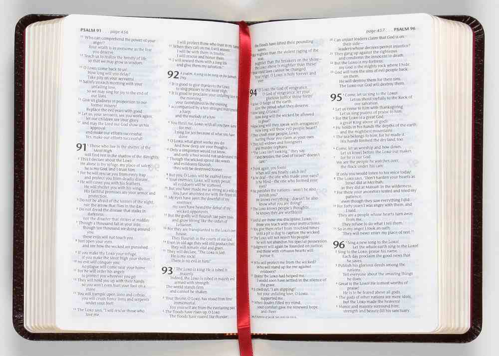 NLT Compact Gift Bible Burgundy (Black Letter Edition) Bonded Leather