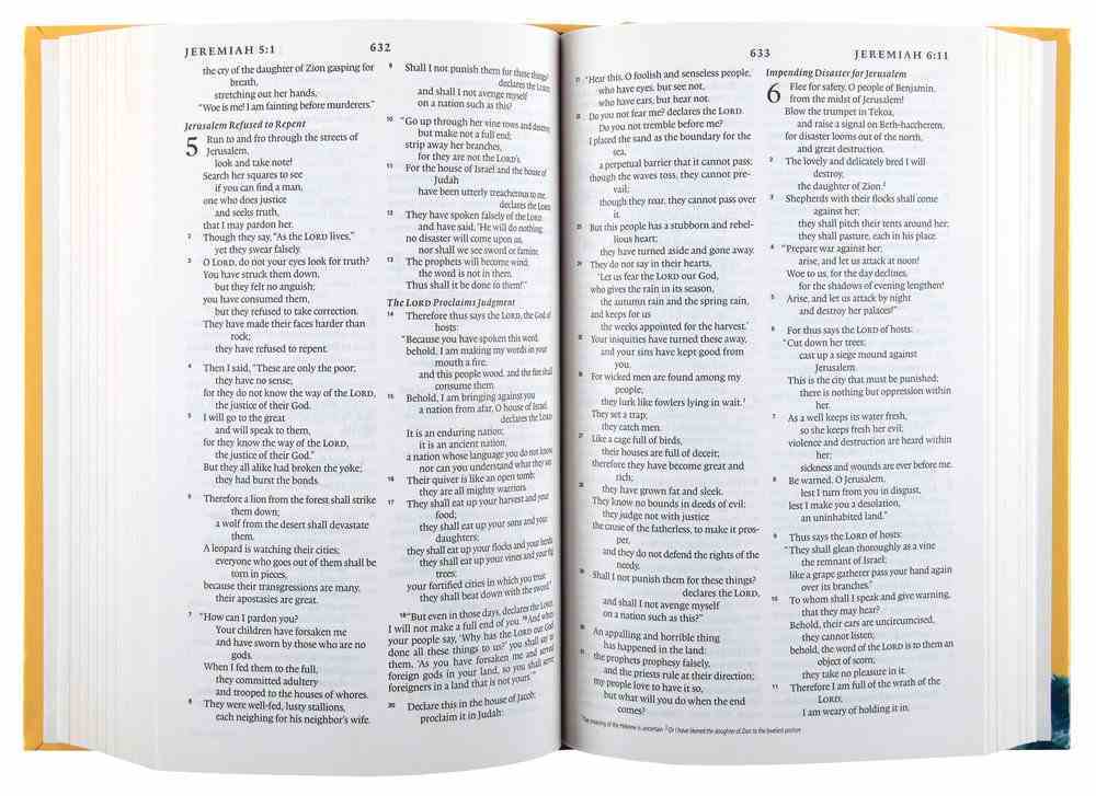 what is a esv bible