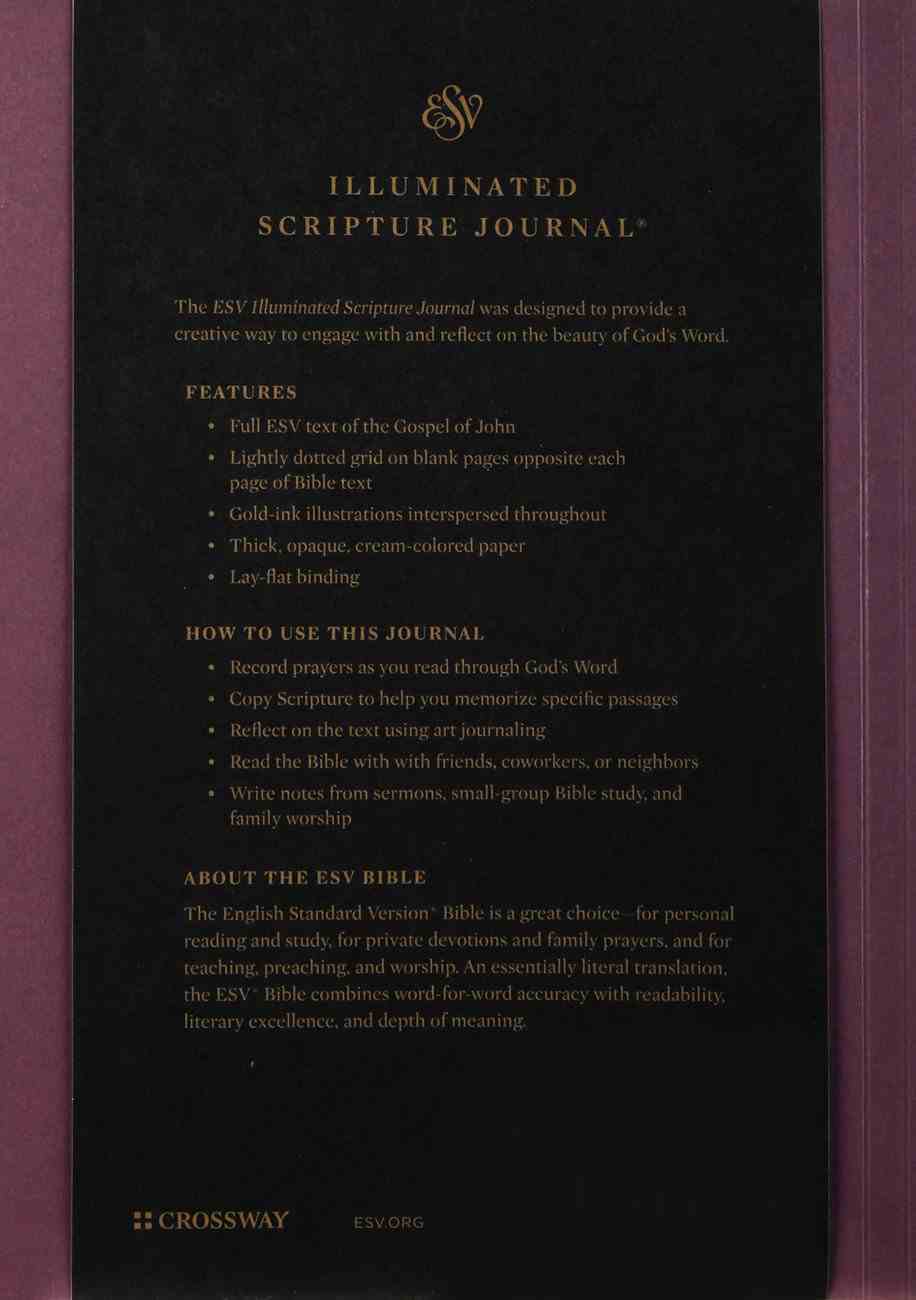 ESV Illuminated Scripture Journal John (Black Letter Edition) Paperback