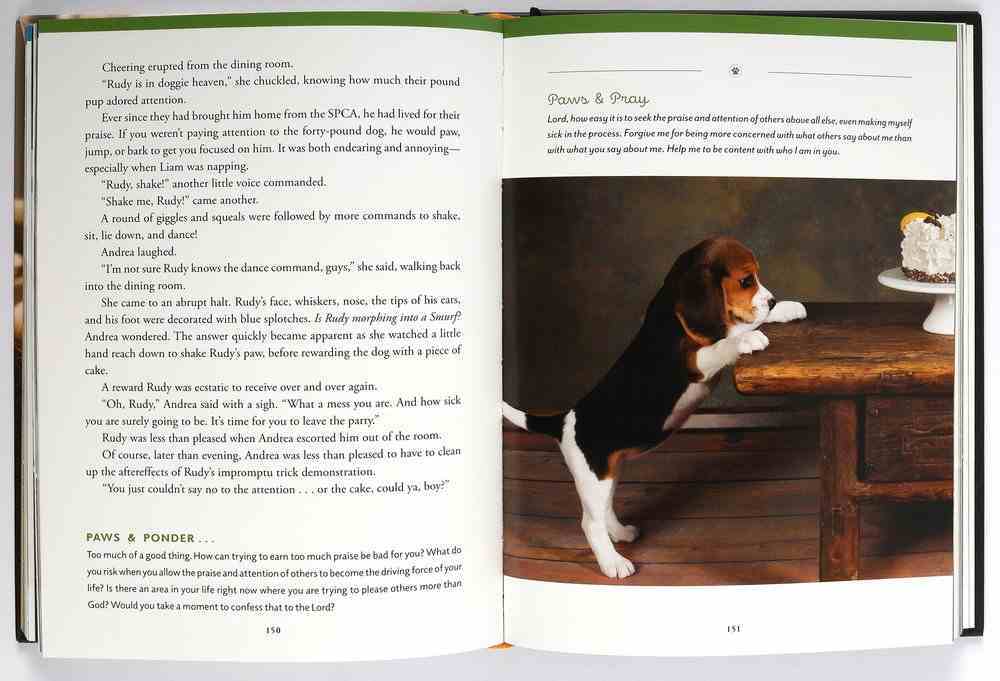 Pawverbs For a Dog Lover's Heart: Inspiring Stories of Friendship, Fun, and Faithfulness Hardback