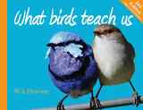What Birds Teach Us (Second Edition) Paperback - Thumbnail 0