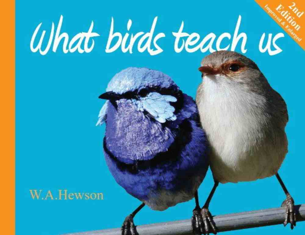 What Birds Teach Us (Second Edition) Paperback