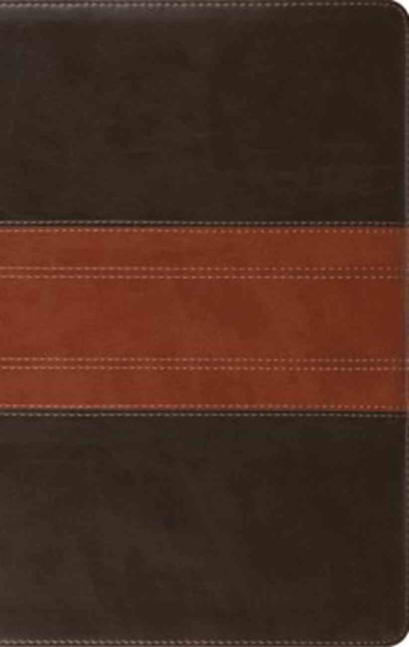 ESV Large Print Personal Size Bible Forest/Tan Trail Design (Red Letter Edition) Imitation Leather