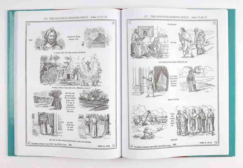 The Bible in Pictures Hardback