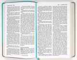 NIV Personal Size Bible Large Print Teal/Gold (Red Letter Edition) Premium Imitation Leather - Thumbnail 3