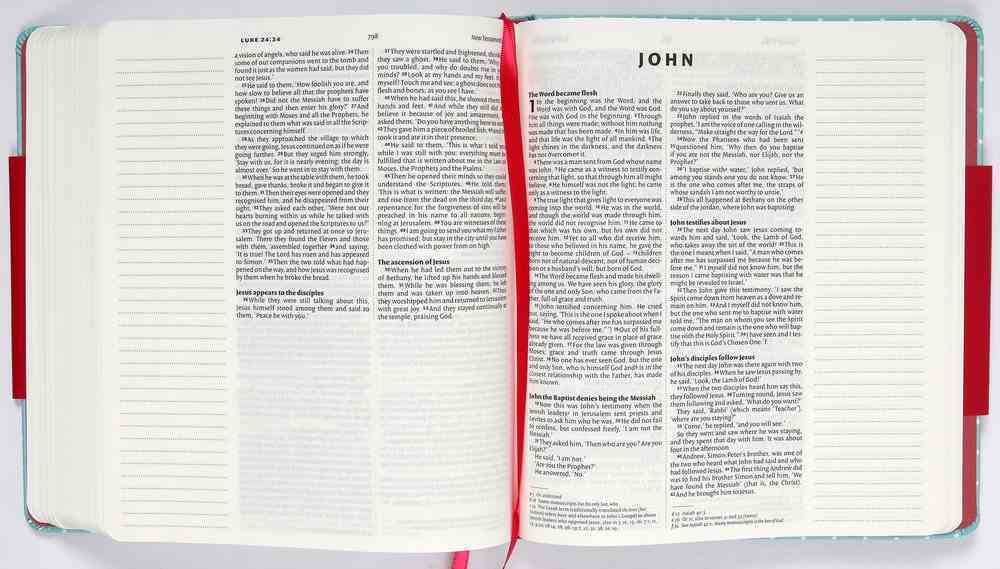 NIV Journalling Bible Mint Polka Dot Hardback